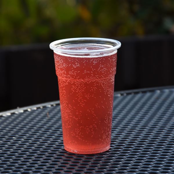 Plastový kelímok PP 0,3 l (50 ks) - transparentná